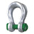 Van Beest Green Pin Bolt Type Wide Body Sling Shackle | P-6033 - 1250 Ton primary image