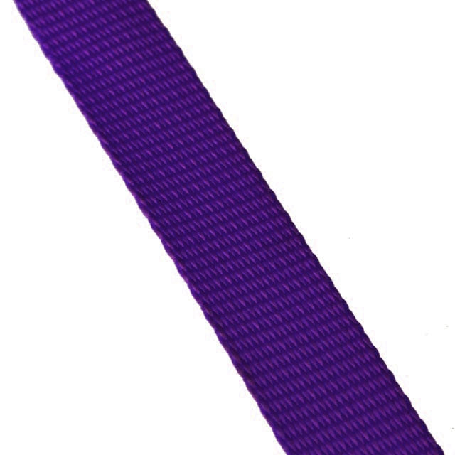 Purple Polyester Web - 1