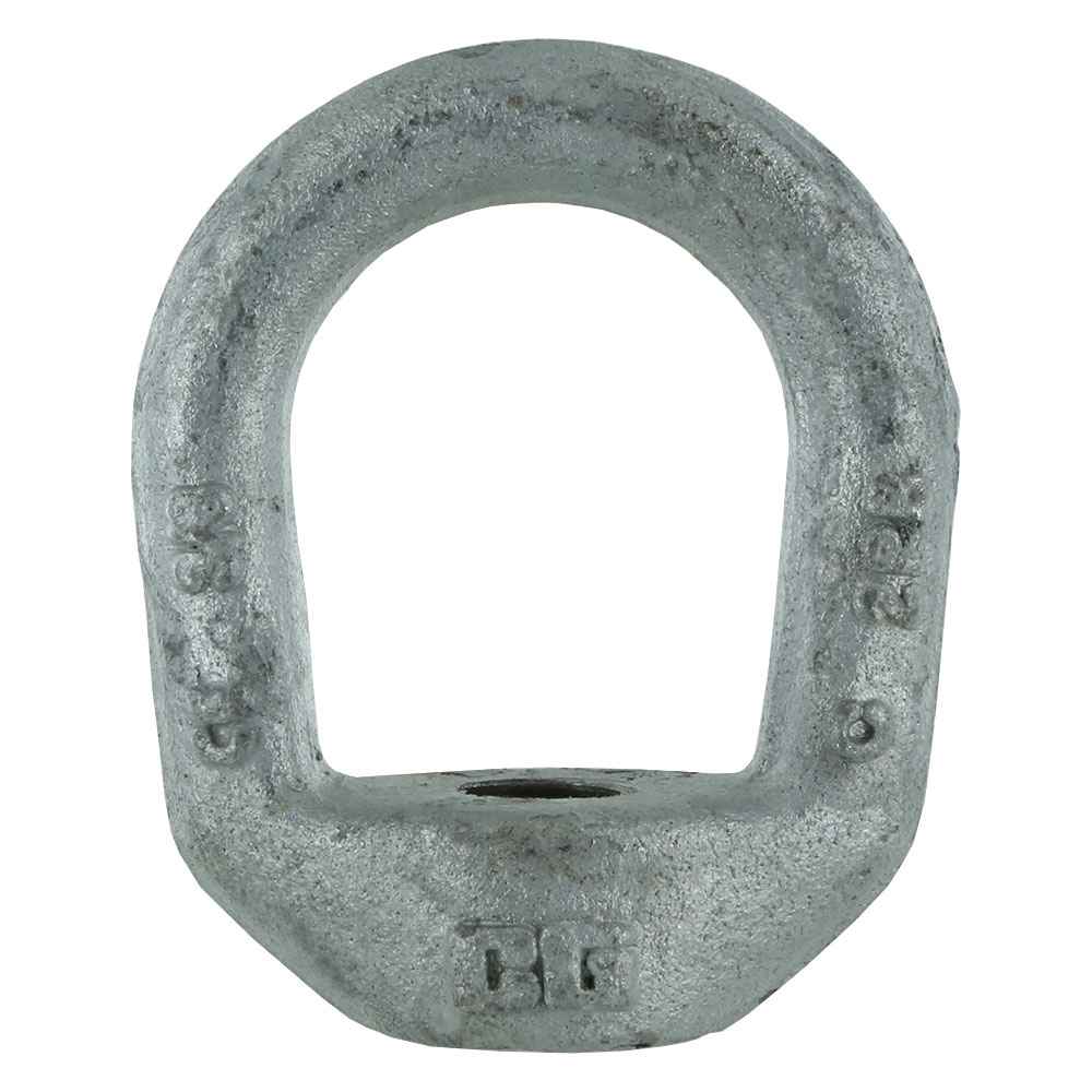 Crosby&reg 2 inch Galvanized Eye Nut G400 image 1 of 2